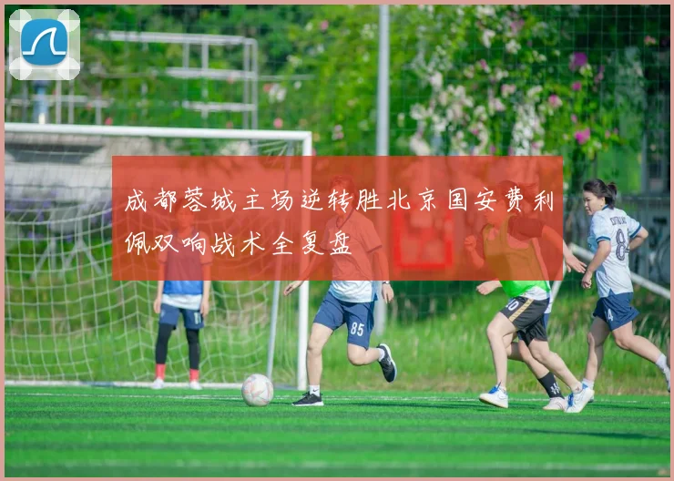 成都蓉城主场逆转胜北京国安费利佩双响战术全复盘