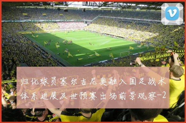 归化球员塞尔吉尼奥融入国足战术体系进展及世预赛出场前景观察
