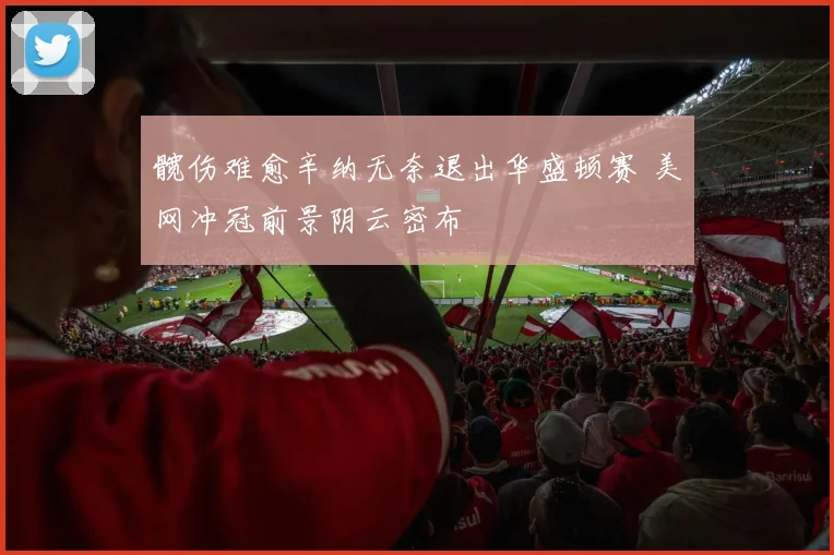 髋伤难愈辛纳无奈退出华盛顿赛 美网冲冠前景阴云密布